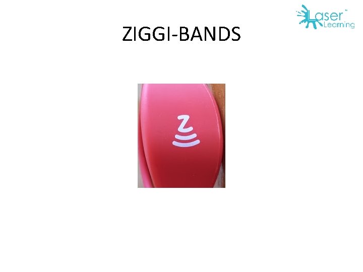 ZIGGI-BANDS 