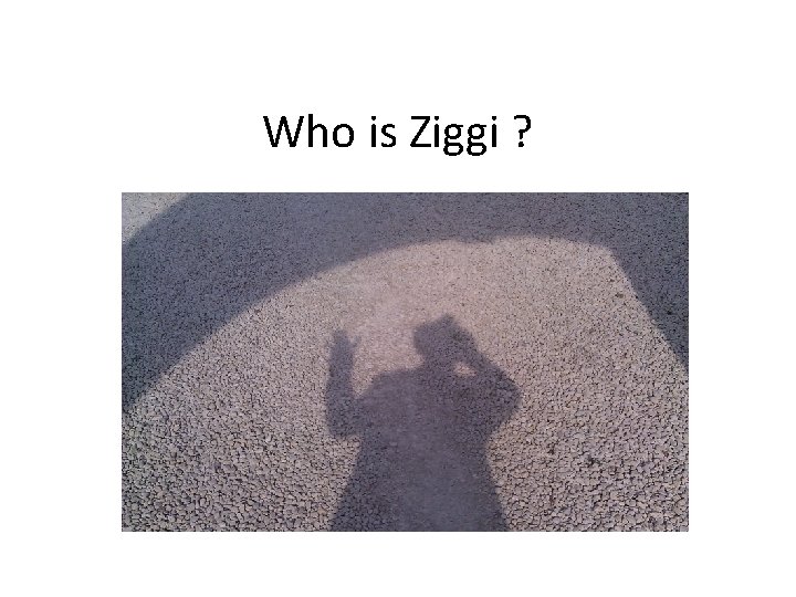 Who is Ziggi ? 