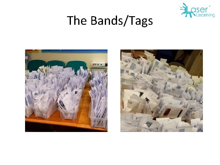 The Bands/Tags 