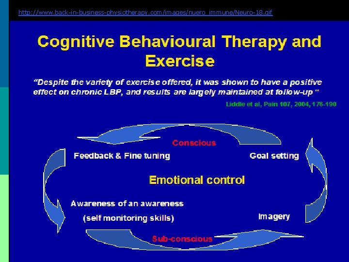 http: //www. back-in-business-physiotherapy. com/images/nuero_immune/Neuro-18. gif 