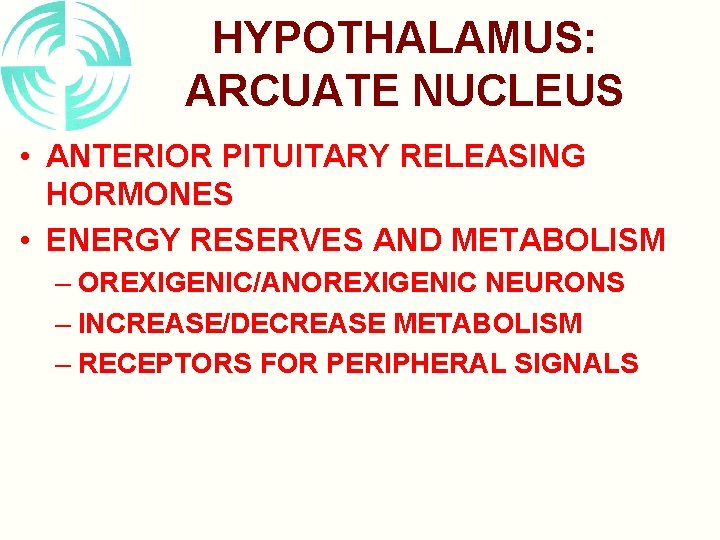 HYPOTHALAMUS: ARCUATE NUCLEUS • ANTERIOR PITUITARY RELEASING HORMONES • ENERGY RESERVES AND METABOLISM –