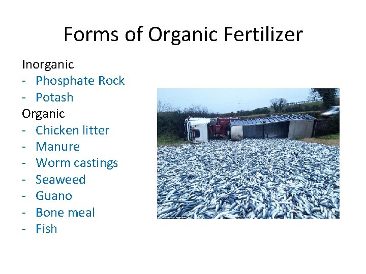 Forms of Organic Fertilizer Inorganic - Phosphate Rock - Potash Organic - Chicken litter