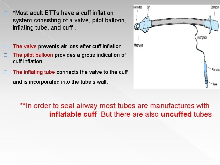 � *Most adult ETTs have a cuff inflation system consisting of a valve, pilot