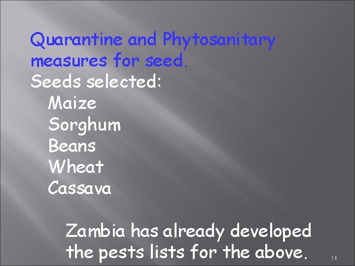 Quarantine and Phytosanitary measures for seed. Seeds selected: Maize Sorghum Beans Wheat Cassava Zambia