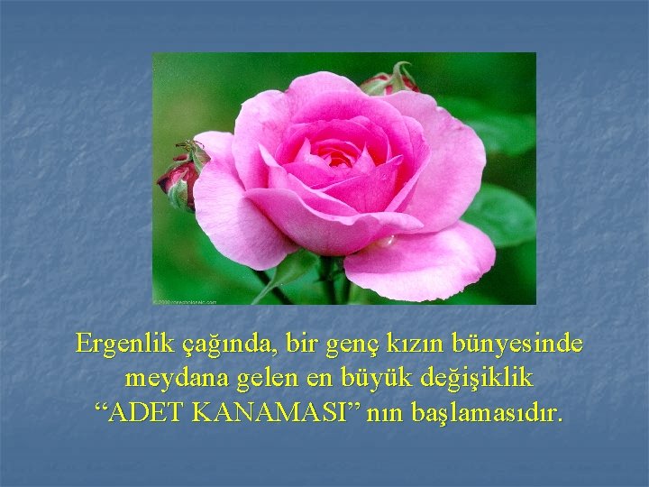 Ergenlik çağında, bir genç kızın bünyesinde meydana gelen en büyük değişiklik “ADET KANAMASI” nın