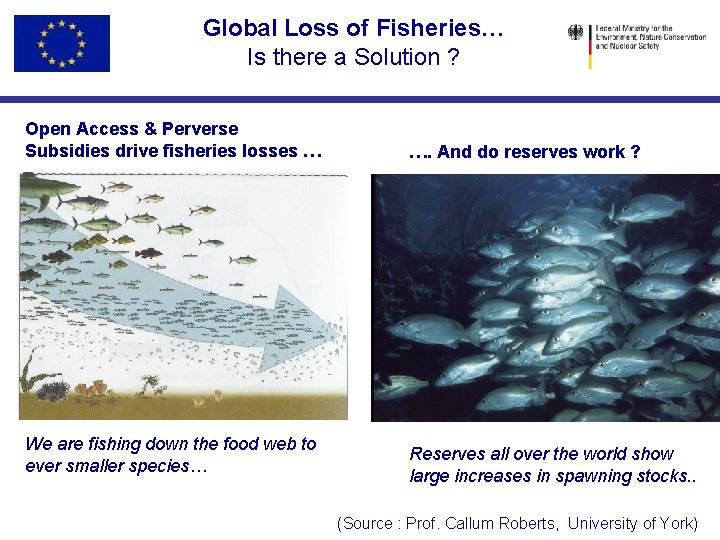 Global Loss of Fisheries… Is there a Solution ? Open Access & Perverse Subsidies