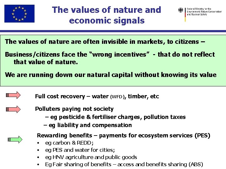 The values of nature and economic signals The values of nature are often invisible