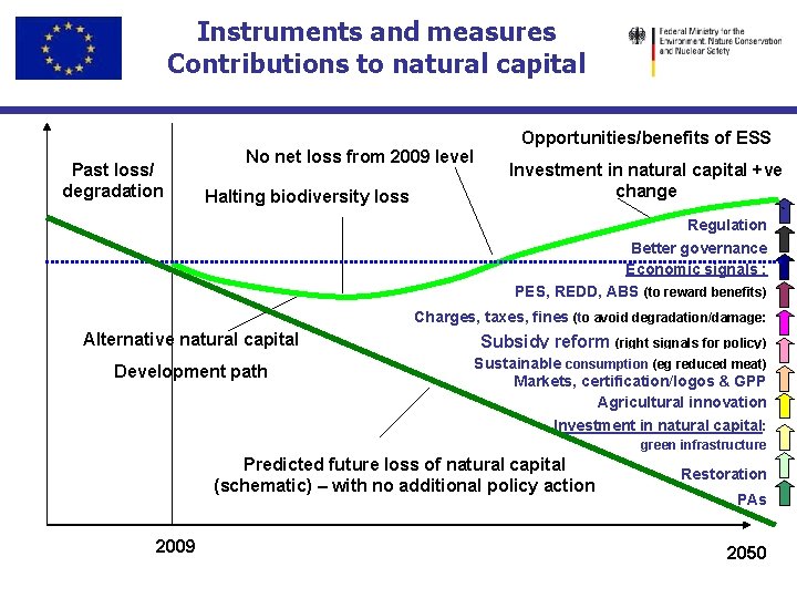 Instruments and measures Contributions to natural capital Past loss/ degradation No net loss from