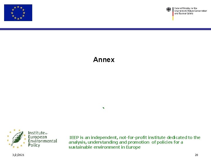 Annex ` IEEP is an independent, not-for-profit institute dedicated to the analysis, understanding and