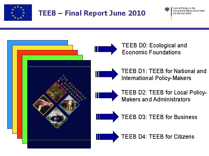 TEEB – Final Report June 2010 TEEB D 0: Ecological and Economic Foundations TEEB