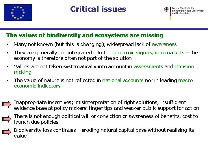 Critical issues The values of biodiversity and ecosystems are missing • Many not known