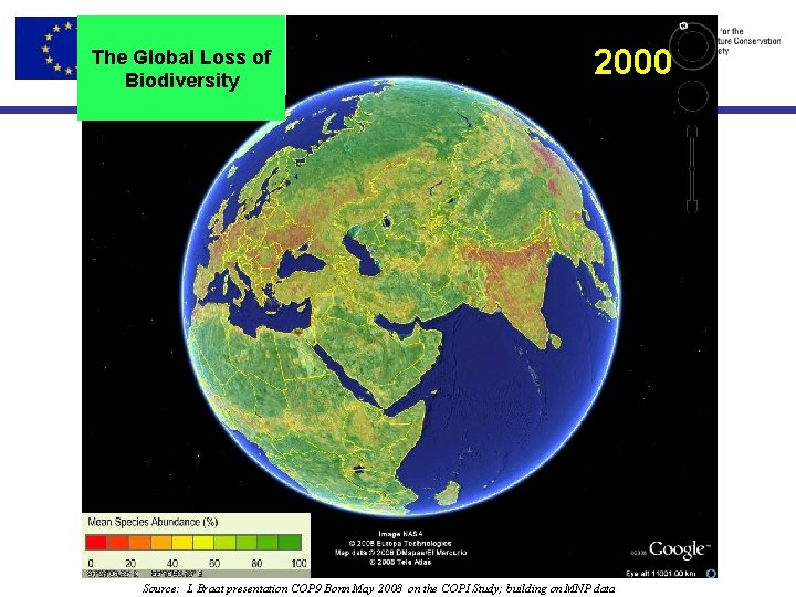 The Global Loss of Biodiversity 2000 Source: L Braat presentation COP 9 Bonn May