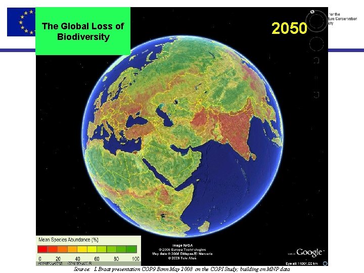 The Global Loss of Biodiversity 2050 Source: L Braat presentation COP 9 Bonn May