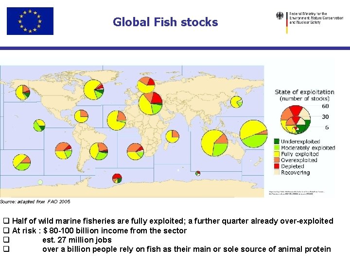 Global Fish stocks Source: adapted from FAO 2005 q Half of wild marine fisheries