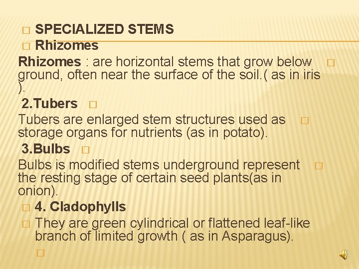 SPECIALIZED STEMS � Rhizomes : are horizontal stems that grow below � ground, often