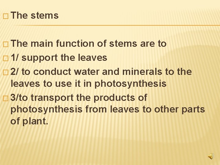 � The stems � The main function of stems are to � 1/ support