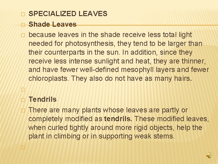 � � � � SPECIALIZED LEAVES Shade Leaves because leaves in the shade receive
