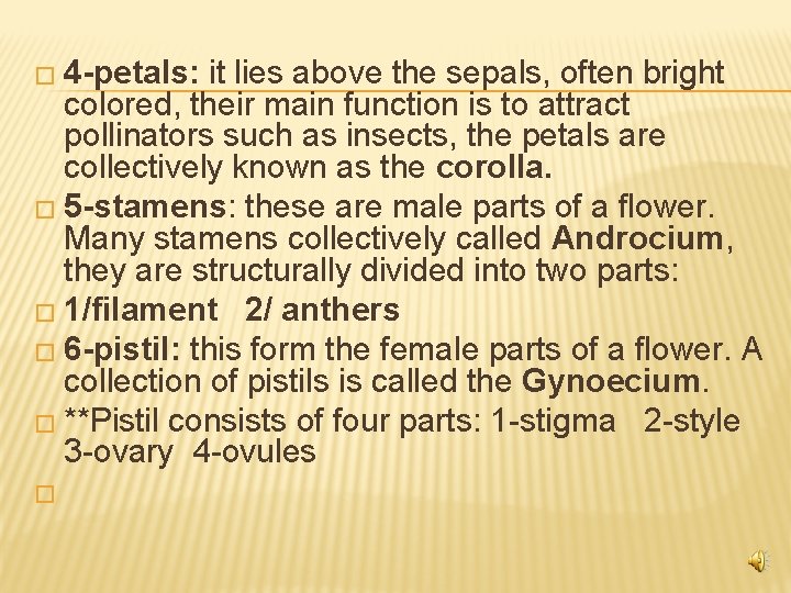 � 4 -petals: it lies above the sepals, often bright colored, their main function