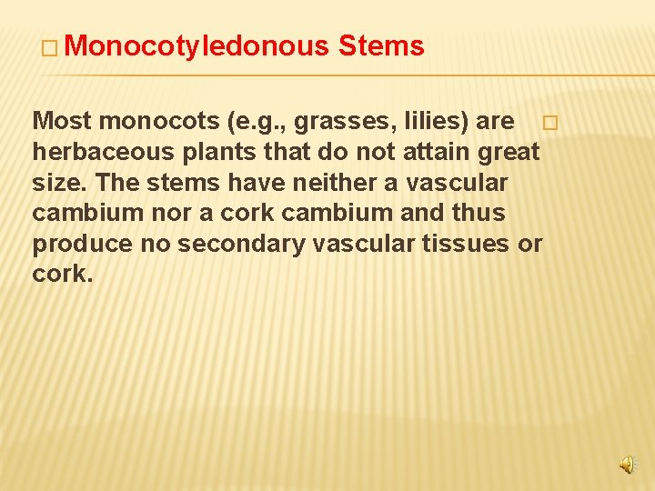 � Monocotyledonous Stems Most monocots (e. g. , grasses, lilies) are � herbaceous plants