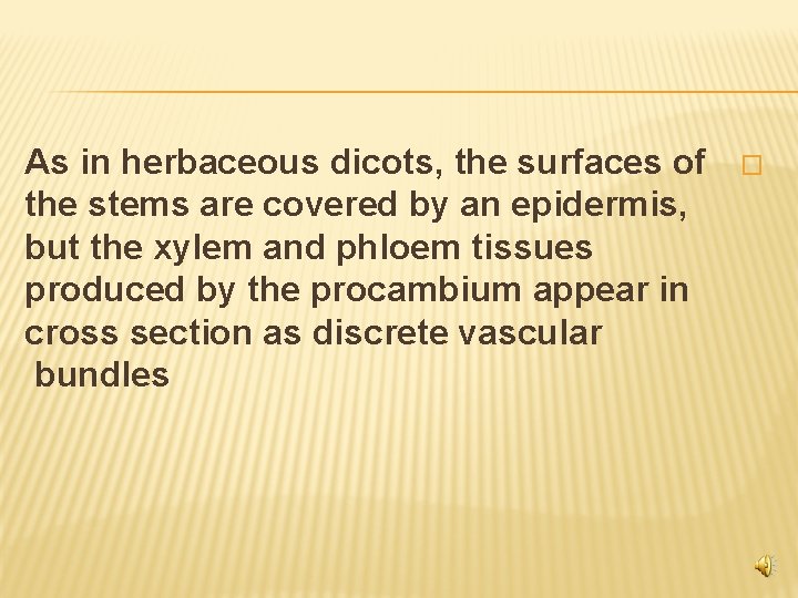 As in herbaceous dicots, the surfaces of the stems are covered by an epidermis,