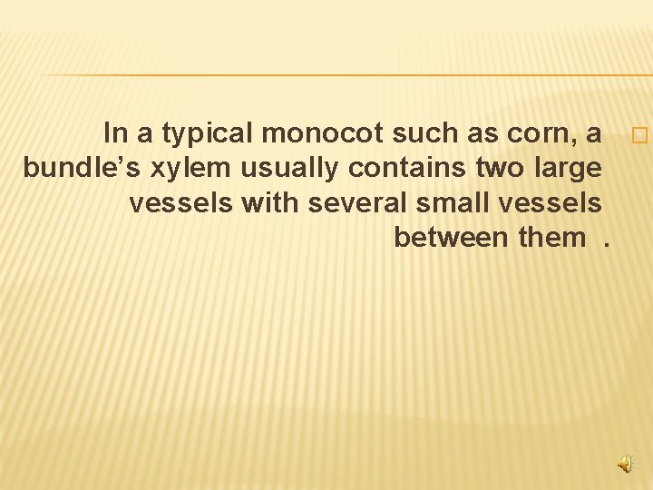 In a typical monocot such as corn, a bundle’s xylem usually contains two large