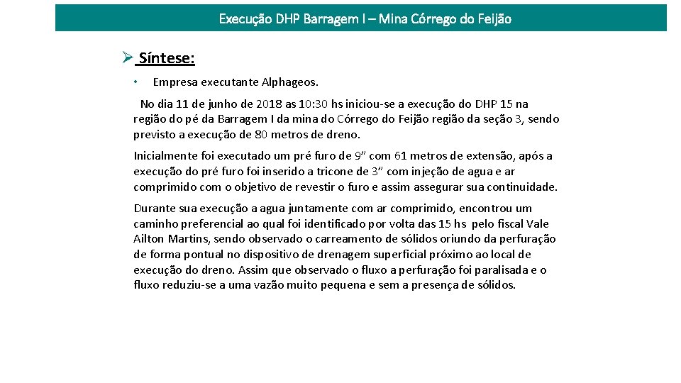 Execução DHP Barragem I – Mina Córrego do Feijão Síntese: • Empresa executante Alphageos.