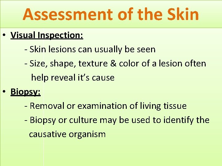 Assessment of the Skin • Visual Inspection: - Skin lesions can usually be seen