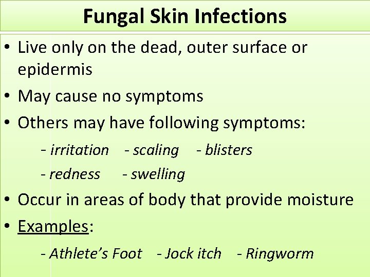 Fungal Skin Infections • Live only on the dead, outer surface or epidermis •