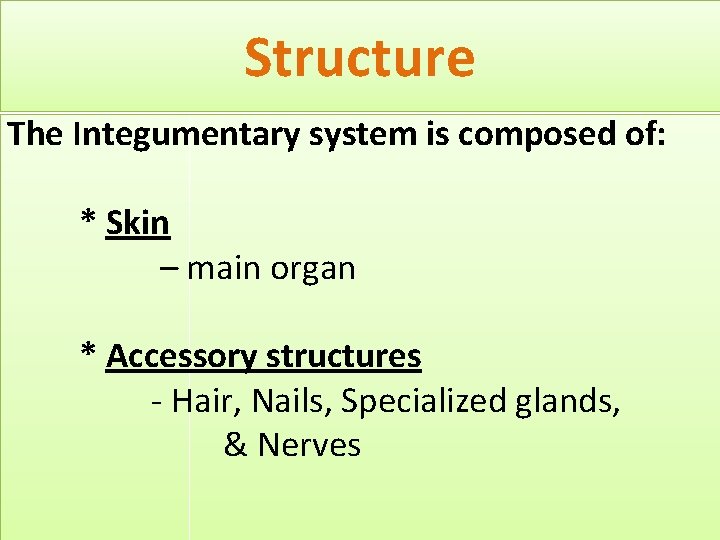 Structure The Integumentary system is composed of: * Skin – main organ * Accessory