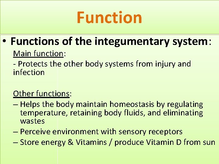 Function • Functions of the integumentary system: Main function: - Protects the other body