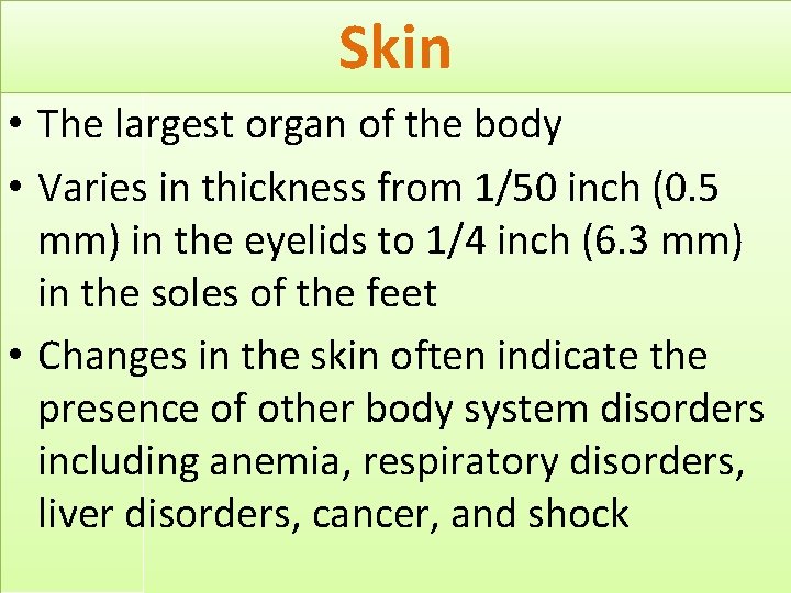Skin • The largest organ of the body • Varies in thickness from 1/50