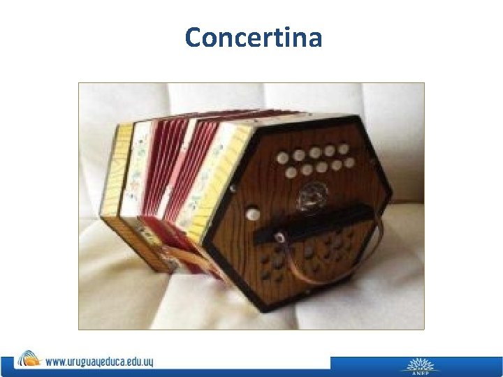 Concertina 