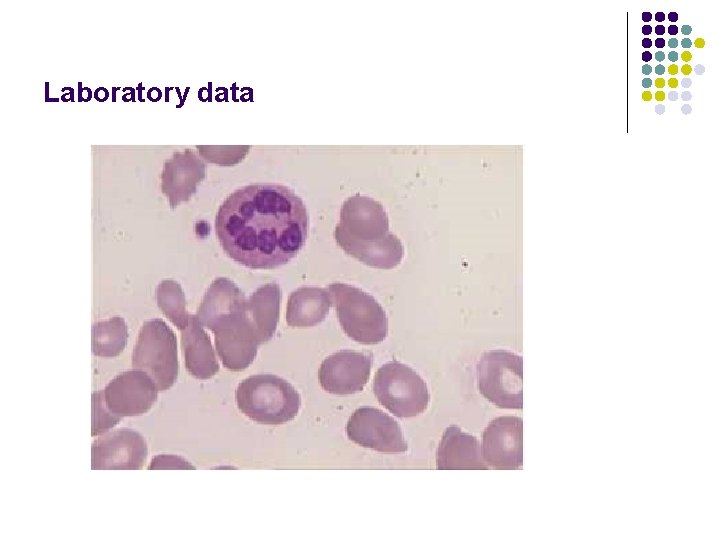 Laboratory data 