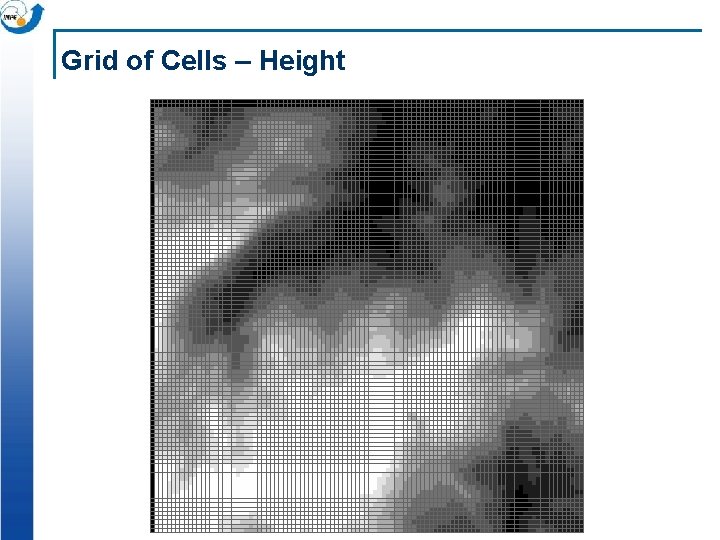 Grid of Cells – Height 