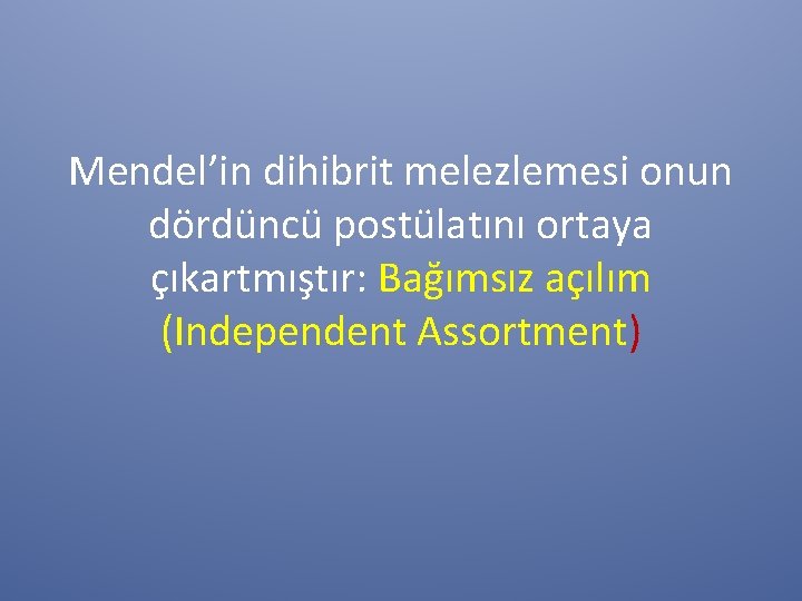 Mendel’in dihibrit melezlemesi onun dördüncü postülatını ortaya çıkartmıştır: Bağımsız açılım (Independent Assortment) 