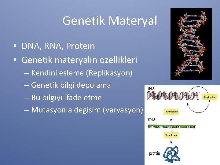Genetik Materyal • DNA, RNA, Protein • Genetik materyalin ozellikleri – Kendini esleme (Replikasyon)
