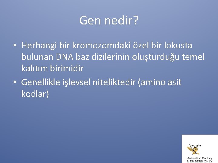 Gen nedir? • Herhangi bir kromozomdaki özel bir lokusta bulunan DNA baz dizilerinin oluşturduğu