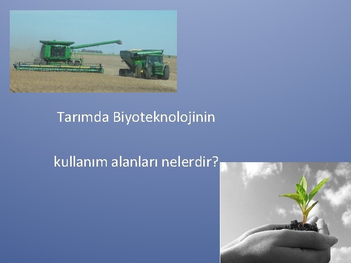 Tarımda Biyoteknolojinin kullanım alanları nelerdir? 