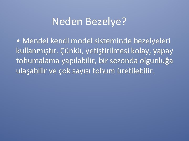 Neden Bezelye? • Mendel kendi model sisteminde bezelyeleri kullanmıştır. Çünkü, yetiştirilmesi kolay, yapay tohumalama