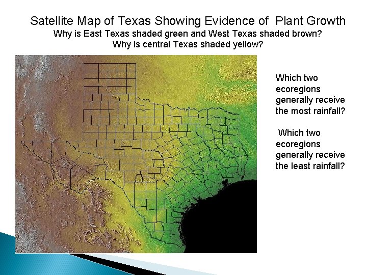 Satellite Map of Texas Showing Evidence of Plant Growth Why is East Texas shaded