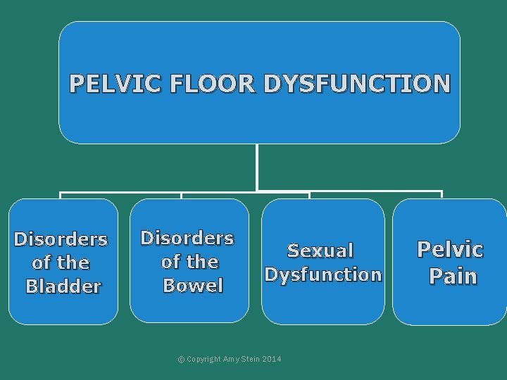 PELVIC FLOOR DYSFUNCTION Disorders of the Bladder Disorders of the Bowel Sexual Dysfunction ©