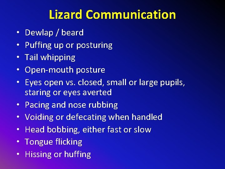 Lizard Communication • • • Dewlap / beard Puffing up or posturing Tail whipping