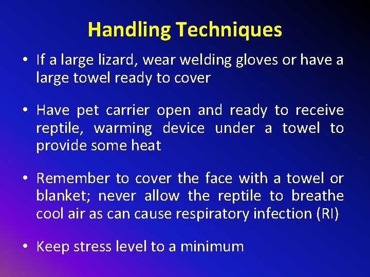 Handling Techniques • If a large lizard, wear welding gloves or have a large