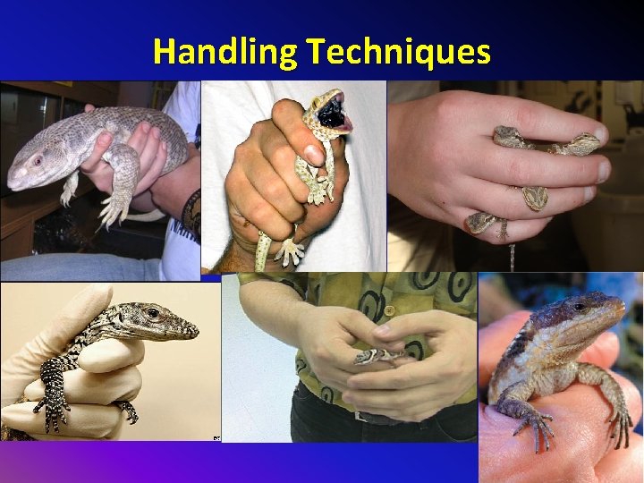 Handling Techniques 
