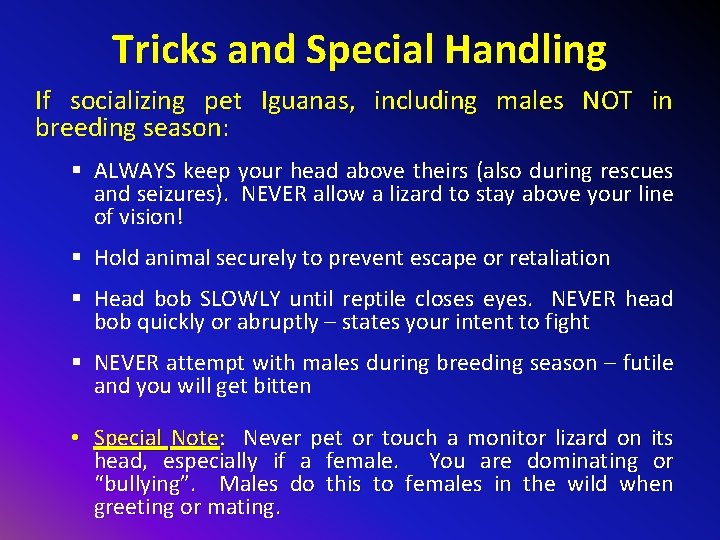 Tricks and Special Handling If socializing pet Iguanas, including males NOT in breeding season: