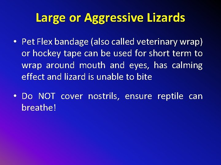 Large or Aggressive Lizards • Pet Flex bandage (also called veterinary wrap) or hockey