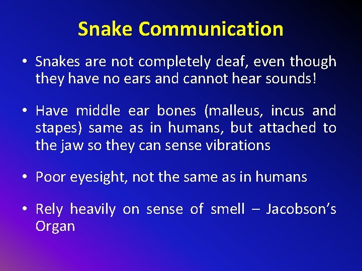 Snake Communication • Snakes are not completely deaf, even though they have no ears