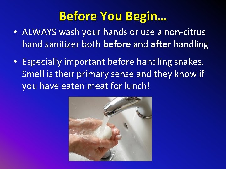 Before You Begin… • ALWAYS wash your hands or use a non-citrus hand sanitizer