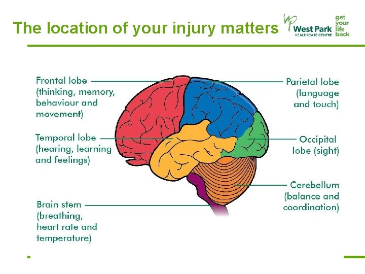 The location of your injury matters 