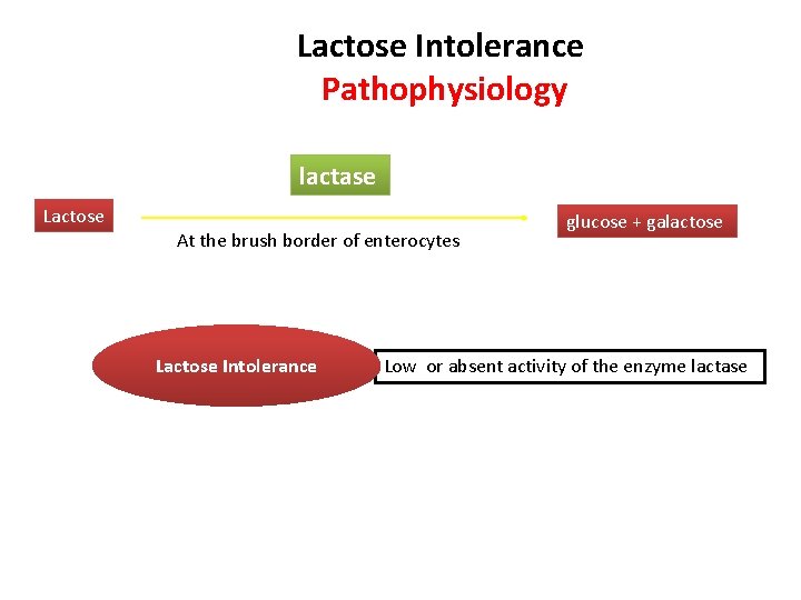 Gastrointestinal Block Pathology lecture 2013 Malabsorption Dr Maha